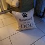 new cushion for doggy Image 2