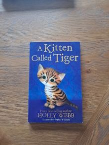 A kitten called Tiger