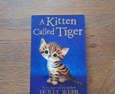 A kitten called Tiger