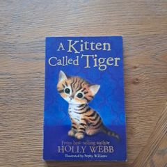 A kitten called Tiger