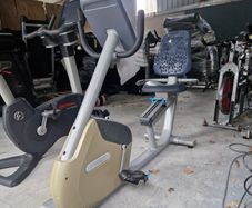 Precor age friendly recumbent bike