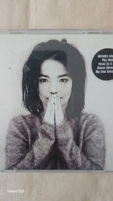 Bjork - Debut.