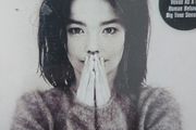 Bjork - Debut.