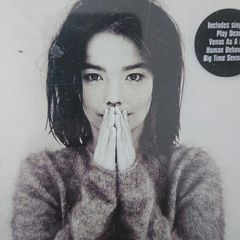 Bjork - Debut.