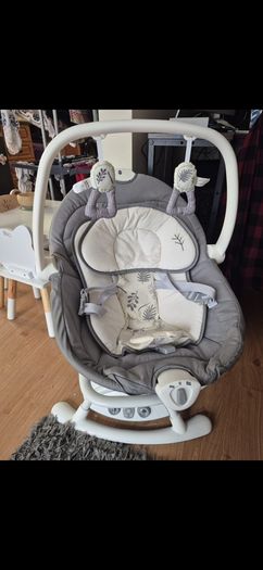 Joie Emeri 2-in-1 Baby Swing and Rocker Fern