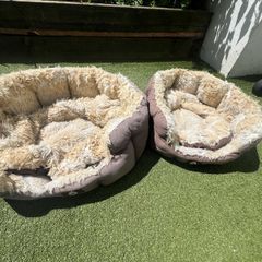 cat beds