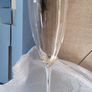 Newbridge Champagne Flutes Image 2