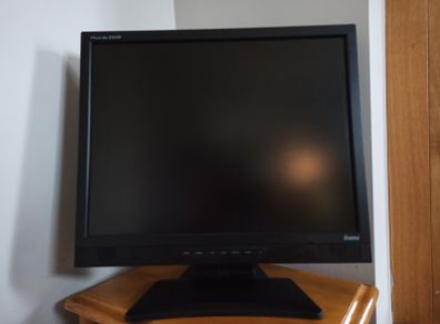IIyama computer monitor