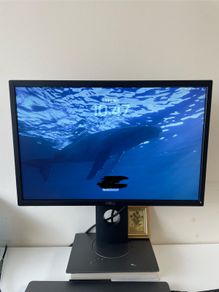 Dell 22' Monitor -P2217