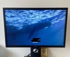 Dell 22' Monitor -P2217