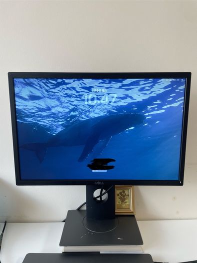 Dell 22' Monitor -P2217