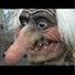 bob.geoldolf