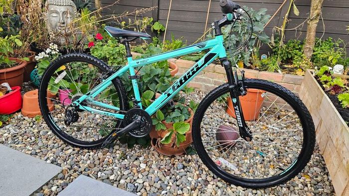 Team Kids Mountain Bike