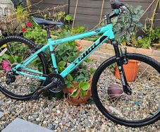 Team Kids Mountain Bike