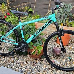 Team Kids Mountain Bike