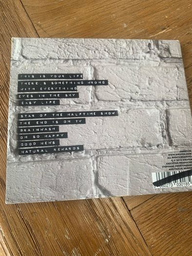 BirdPen - There's Something Wrong With Everything