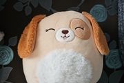 Squishmallow