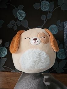 Squishmallow