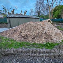 bark mulch