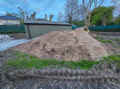 bark mulch