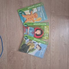 Ladybird Read it Yourself Books