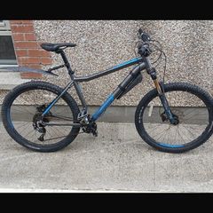 large mans bike