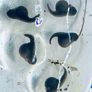 Ranitomeya tadpole tubs Image 4