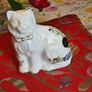 Royal Tara Cat Image 10