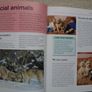 What is my dog thinking,Gwen Bailey,Hardback book.books.non fictionPet behaviour book Image 9