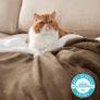 Sherpa Fleece Throw Blanket - Thick and Warm, Fluffy Microfiber Solid & Soft Blankets for Bed and Couch Double/Twin Size, Camel, 150x200cm Image 4