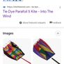 Tie dye parafoil kite Image 2