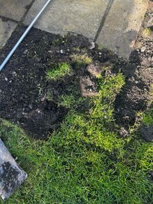 top soil