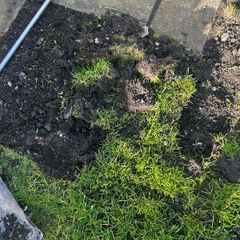 top soil