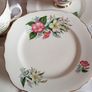 COLCLOUGH Bone China 3 cups and 6 plates Image 3