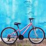 applo kids bikes Image 2
