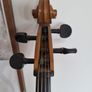 Unlabelled Cello full size Image 2