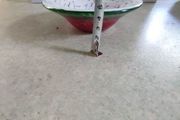 Lovely Dish Made In Malta