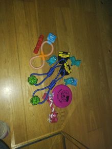 Dog toys