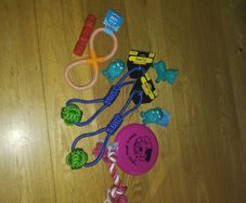 Dog toys