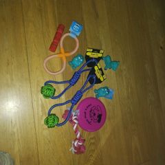 Dog toys