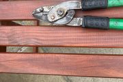 Branch pruner