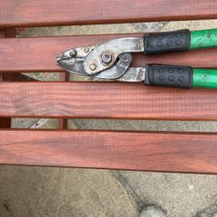 Branch pruner