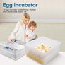 16 Egg Digital Incubator  Auto Turning & Temperature Control Image 2