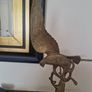 vintage brass eagle Image 5
