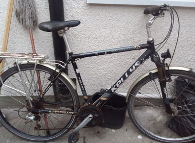 adult bike for sale