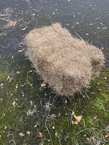 square hay bales