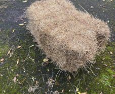 square hay bales
