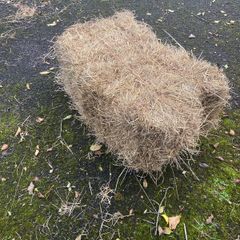 square hay bales