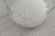 Live Water Kefir Grains  Fresh  Active