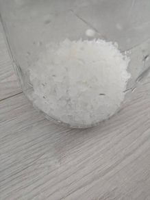 Live Water Kefir Grains  Fresh  Active